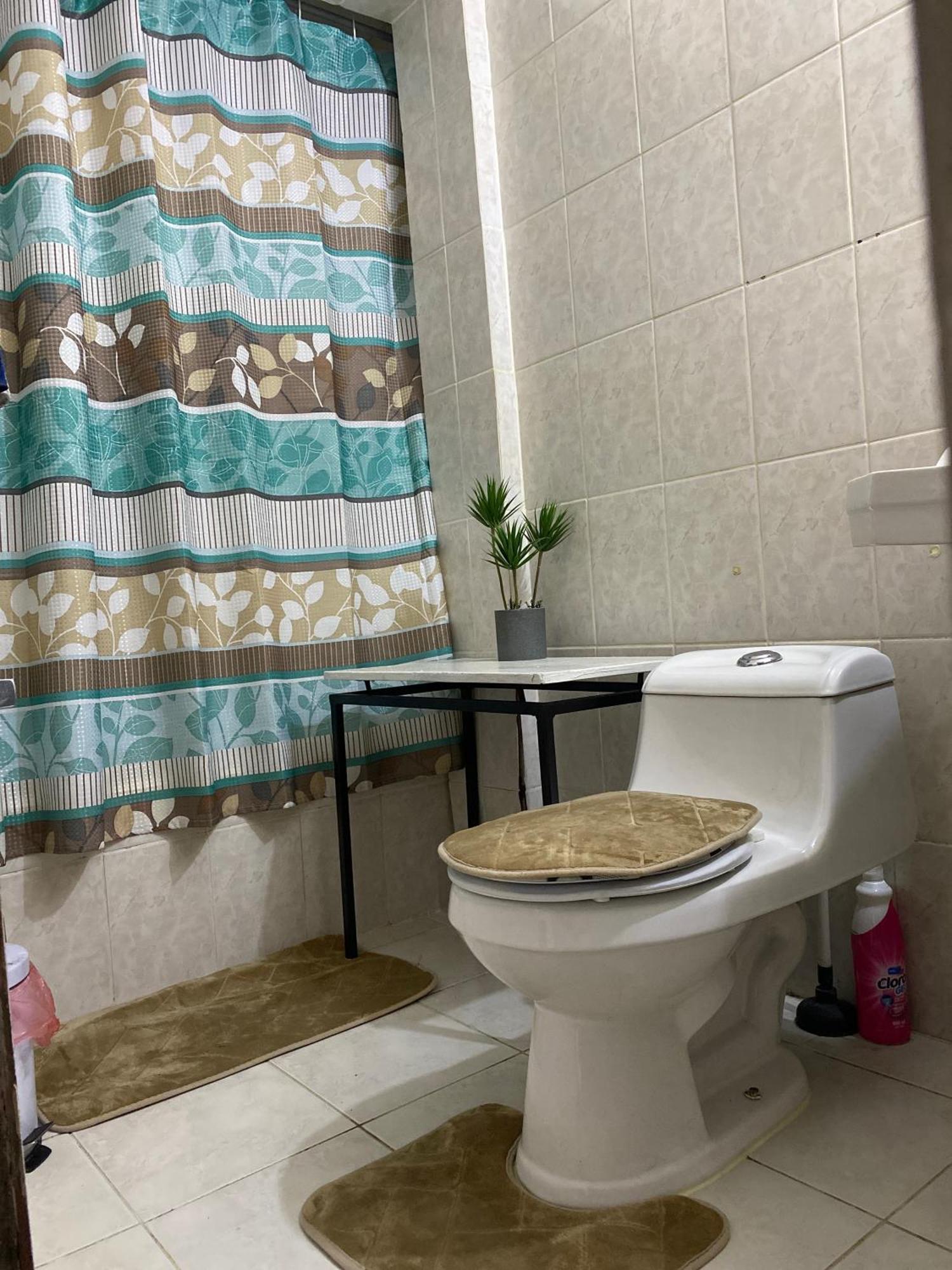 Departamento En Providencia Casa Roman 산티아고 외부 사진